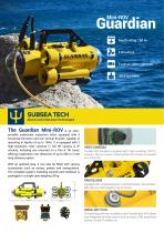 Mini ROV Guardian