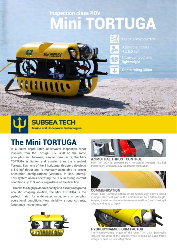 MINI TORTUGA