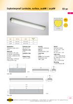 EX92 Explosionproof Luminaire, surface, 2x 18 W / 2x 36 W