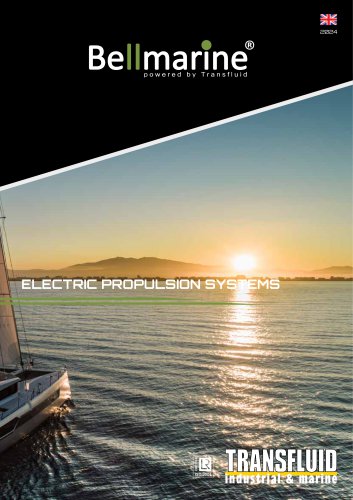 Electric propulsion system