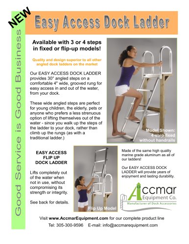 Easy access dock ladder