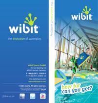 Wibit Flyer 2013