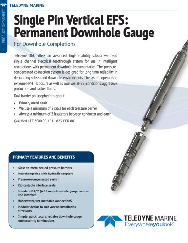 Single Pin Vertical EFS:  Permanent Downhole Gauge