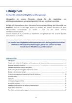 C-BridgeSim-brochure-v02.0_DE - 2