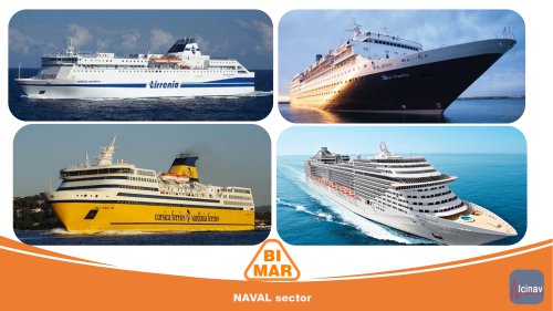 NAVAL sector