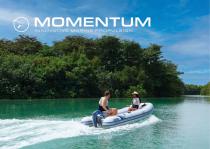 Momentum Brochure