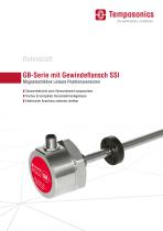 GB-Serie mit Gewindeflansch SSI-1