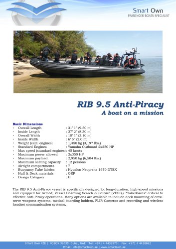 RIB 9.5 Anti Piracy